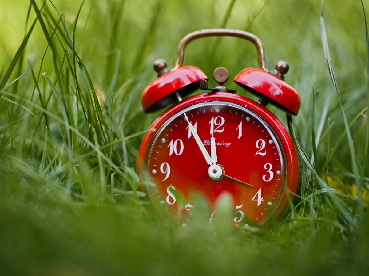 lymiT’d tHyme oWnley